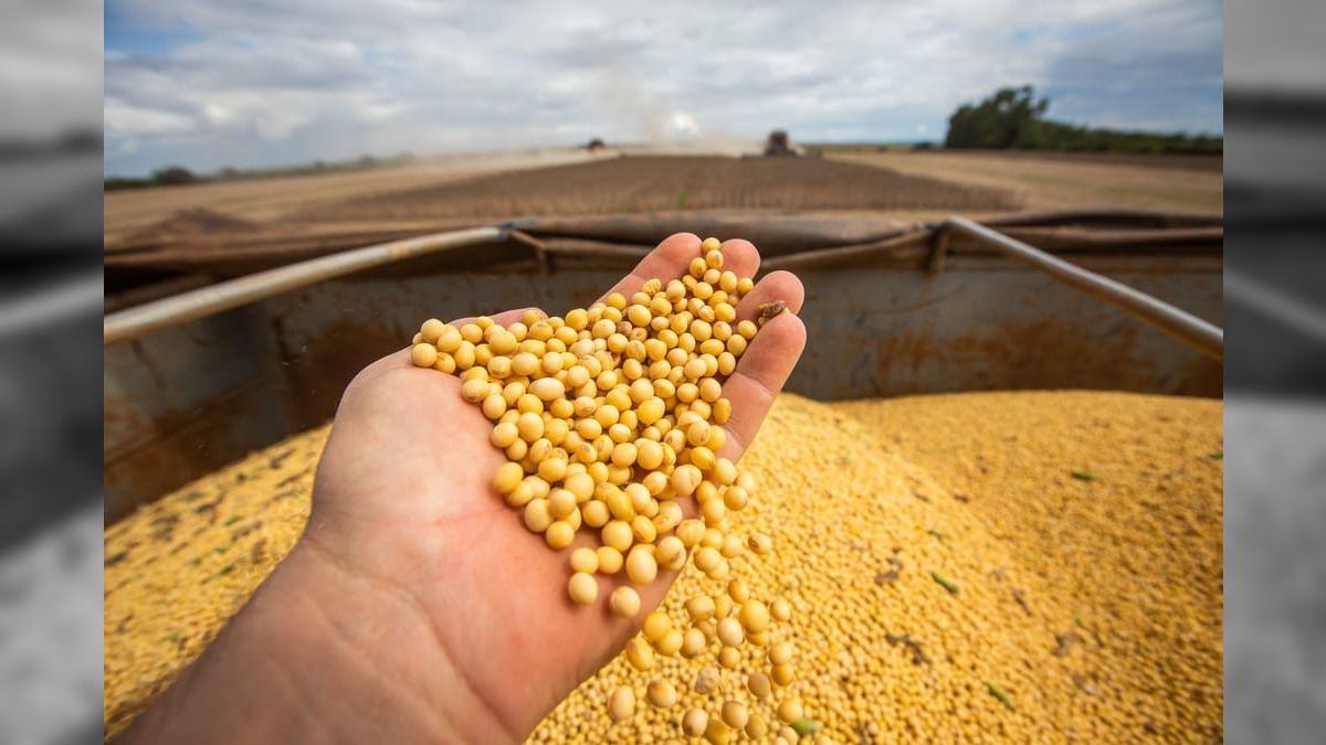 Mistura de biodiesel ao óleo diesel passa a 14% nos postos