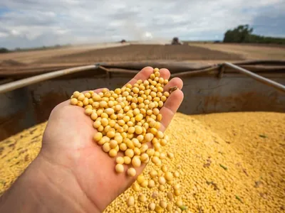 Mistura de biodiesel ao óleo diesel passa a 14% nos postos