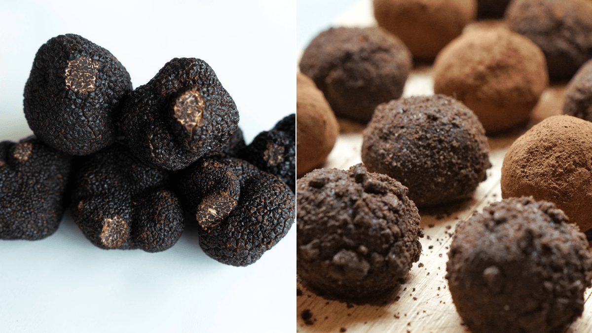 O tartufo (à esquerda) é um cogumelo que deu origem ao nome da trufa feita de chocolate (à direita)