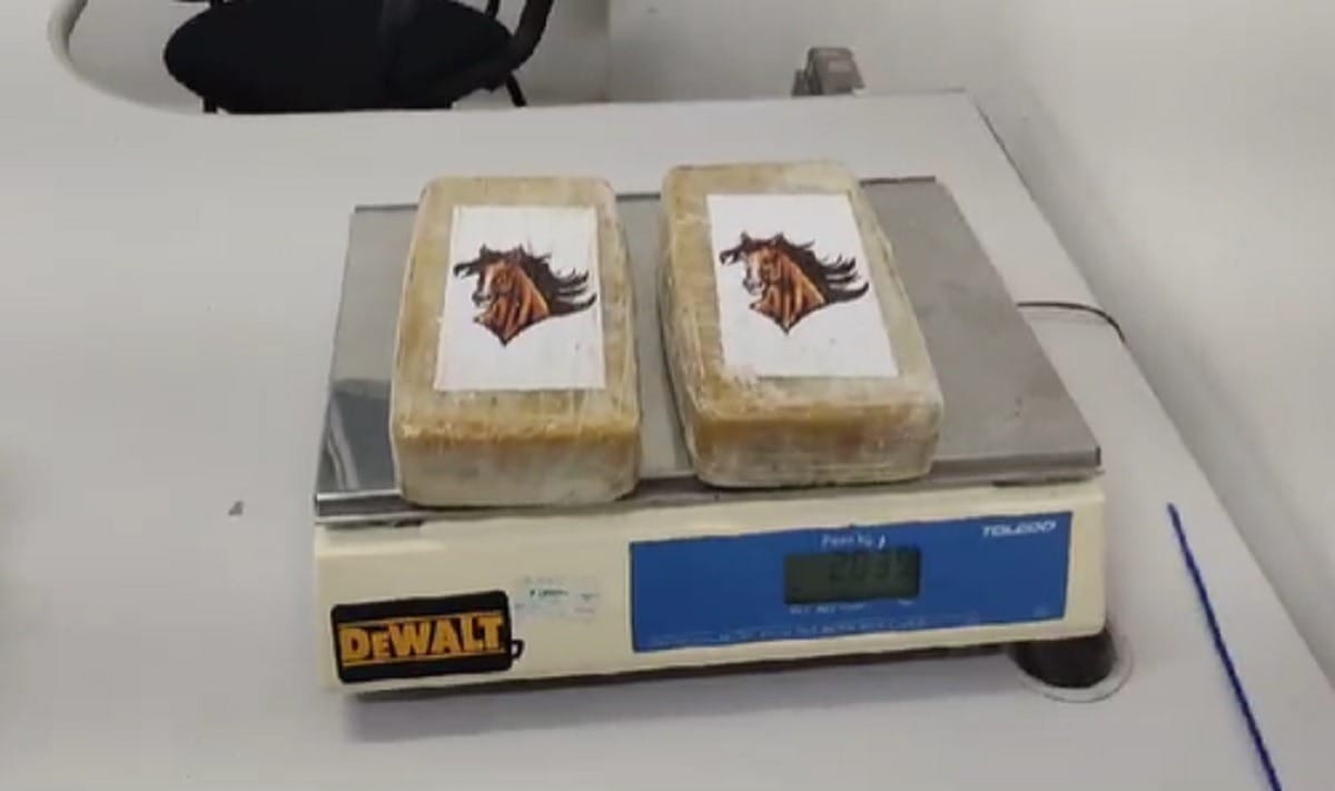Suposta fã do RBD é presa com 2 kg de crack dentro de ônibus em rodovia de SP