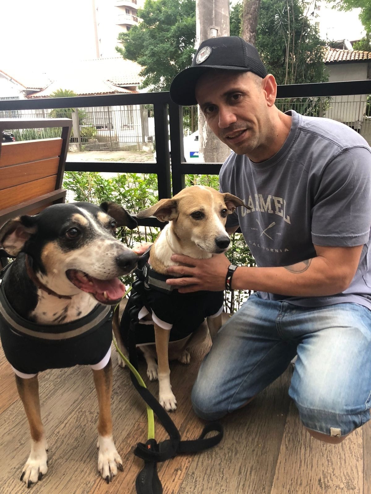 A família cresceu: Thor e Pandora são a dupla dinâmica que alegra os dias da família; Gigi (que não aparece na foto) é a mais nova integrante da casa, além de um gatinho (Foto: Juliana Finardi)
