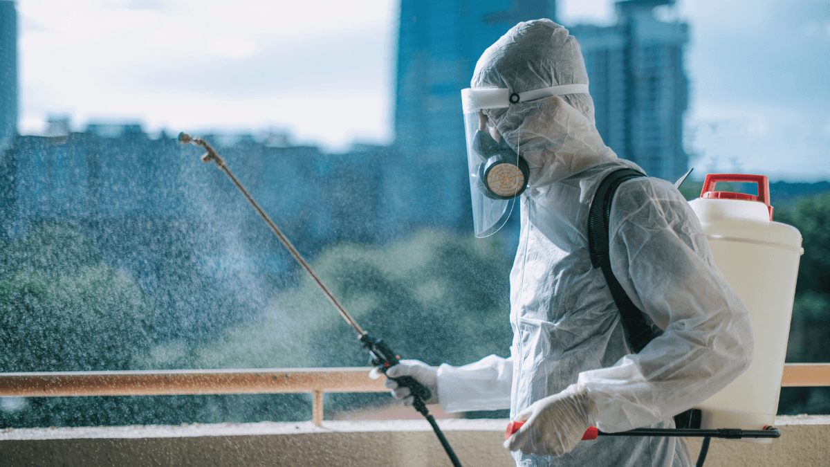 Alerta de Verão: Como se Prevenir Contra Infestações de Pragas Urbanas