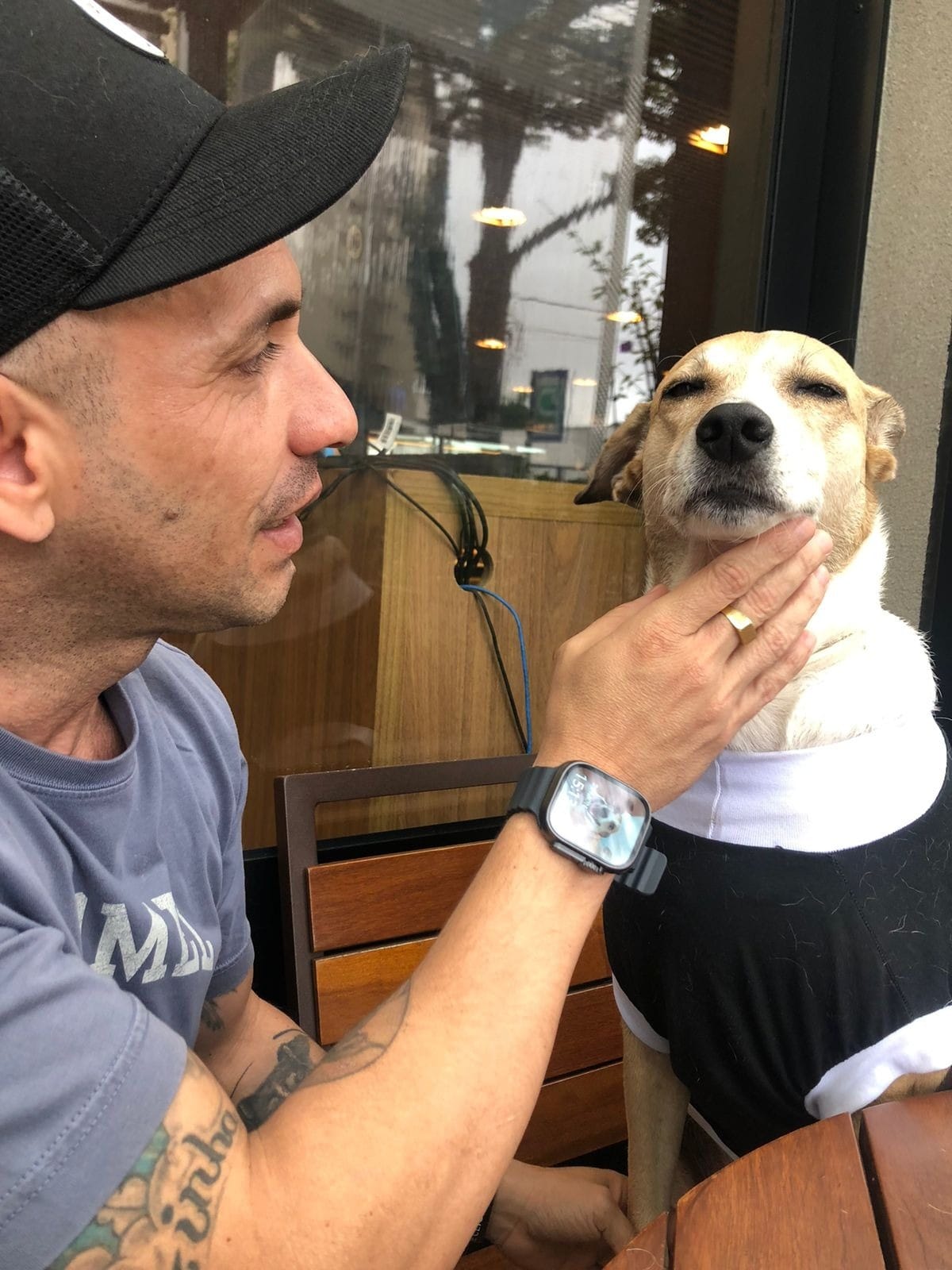Onde está Pandora, a cachorrinha que 'se perdeu' no aeroporto e mobilizou o país