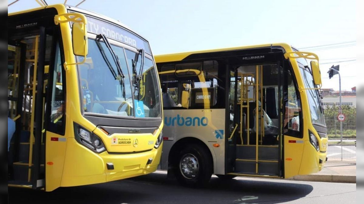 Transporte e alimentação no dia do voto: conheça as regras e proibições