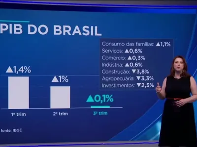 Juliana Rosa: alta do PIB mostra economia resiliente, mas perdendo força