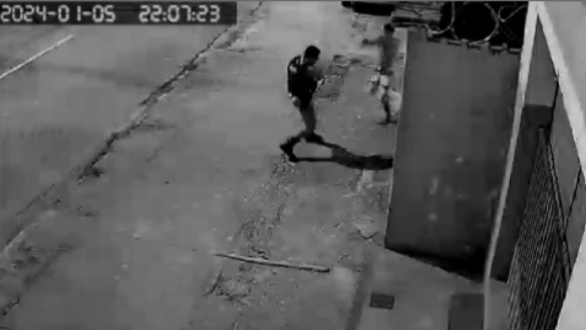 Justiça precisa rever saidinha de presos, diz Thaís Dias após caso de PM baleado