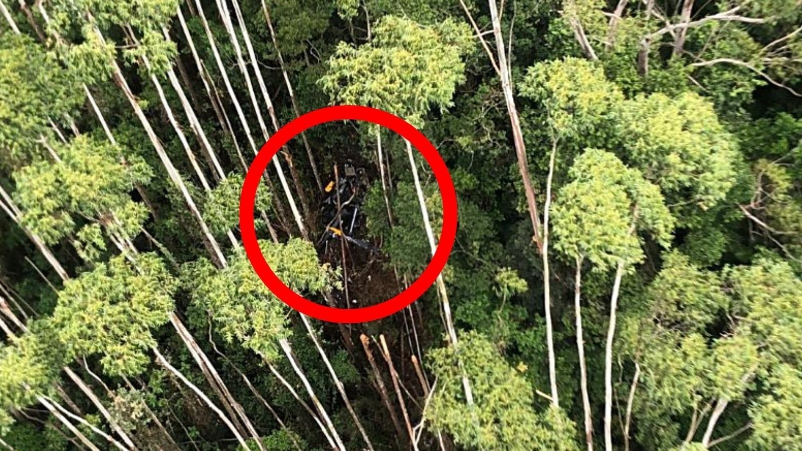 Helicóptero caiu no meio da mata em SP (Foto: Divulgação/SSP)