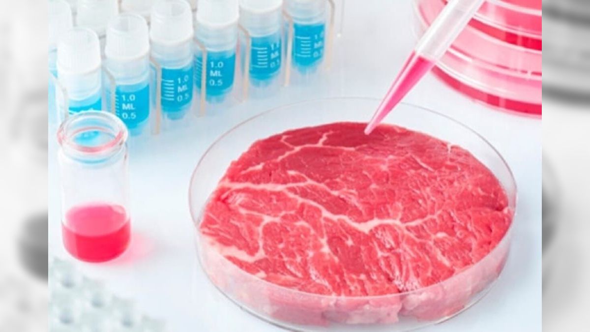 Carne de laboratório pode ser a solução para atender a demanda global: você comeria?; assista