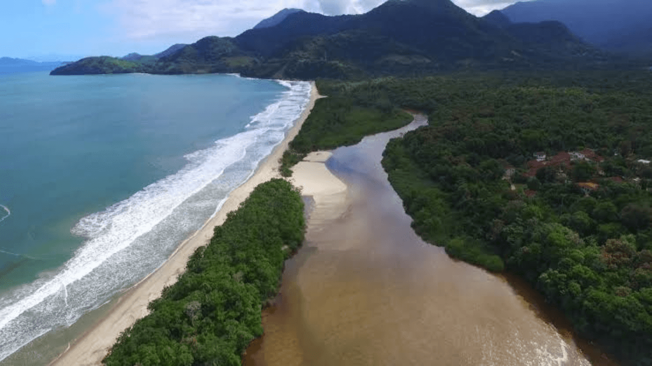Operação Mata Atlântica em Pé, ação de combate ao desmatamento, vai até o dia 27 de setembro