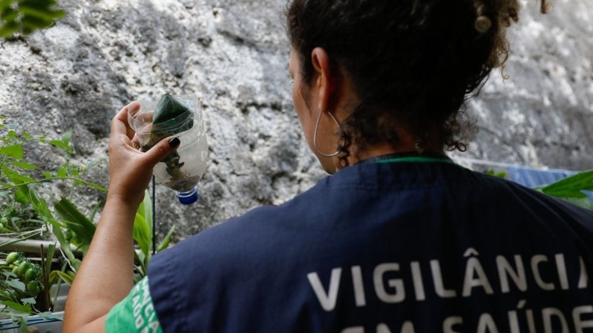 Após caso de Chikungunya, Prefeitura de Caraguatatuba inicia inspeção em bairros