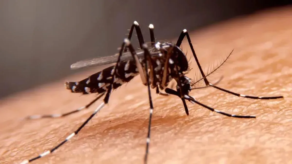 Com 34 casos de dengue este ano, Morungaba decreta emergência em saúde pública