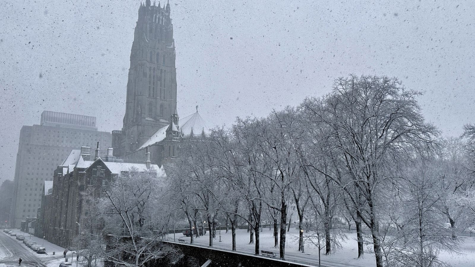 Nevasca na Europa: frio e neve atuam como 'defensivo natural' de lavouras