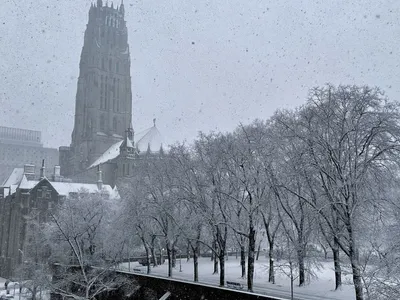 Nevasca na Europa: frio e neve atuam como 'defensivo natural' de lavouras
