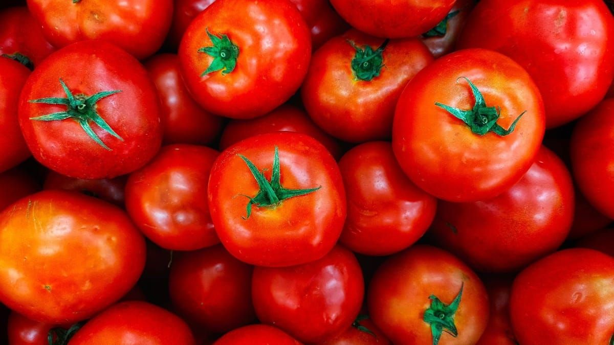 Preço da cesta básica cai em 25 capitais com recuo no café e tomate