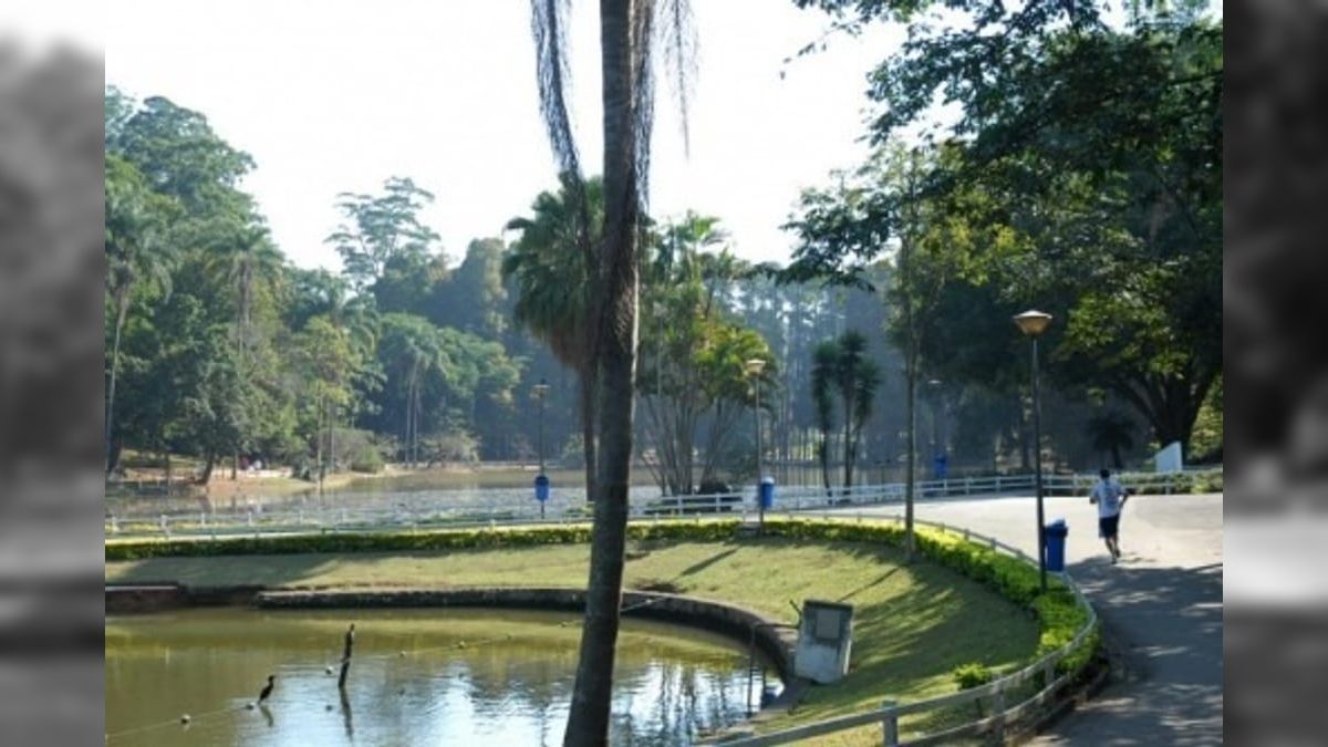 Parque do Horto Florestal (Foto: Divulgação)