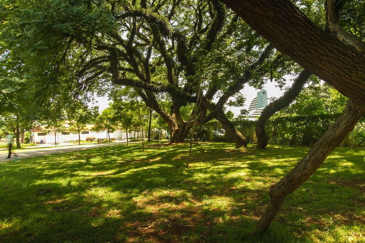 Parque do Trote (Foto: Divulgação)