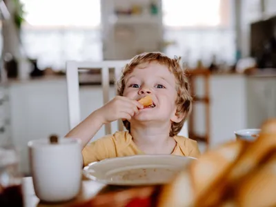 Lanches para a escola: 20 receitas para fazer em 20 minutos