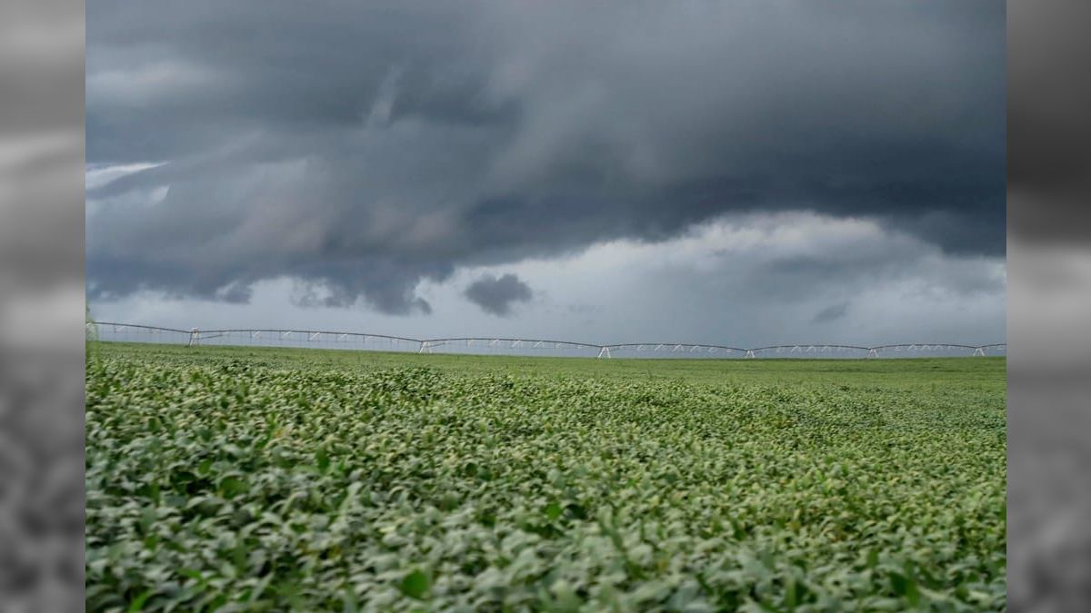 Retorno do El Niño é oficialmente confirmado por órgão norte-americano