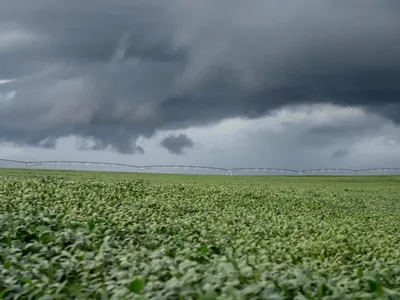 Retorno do El Niño é oficialmente confirmado por órgão norte-americano