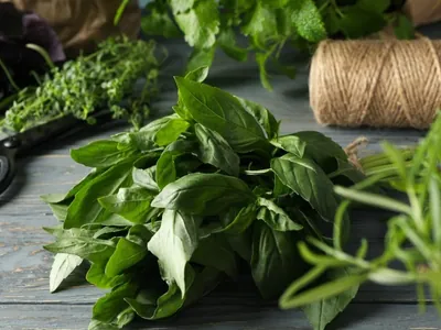 Ervas frescas duram mais tempo com esses 4 truques inteligentes