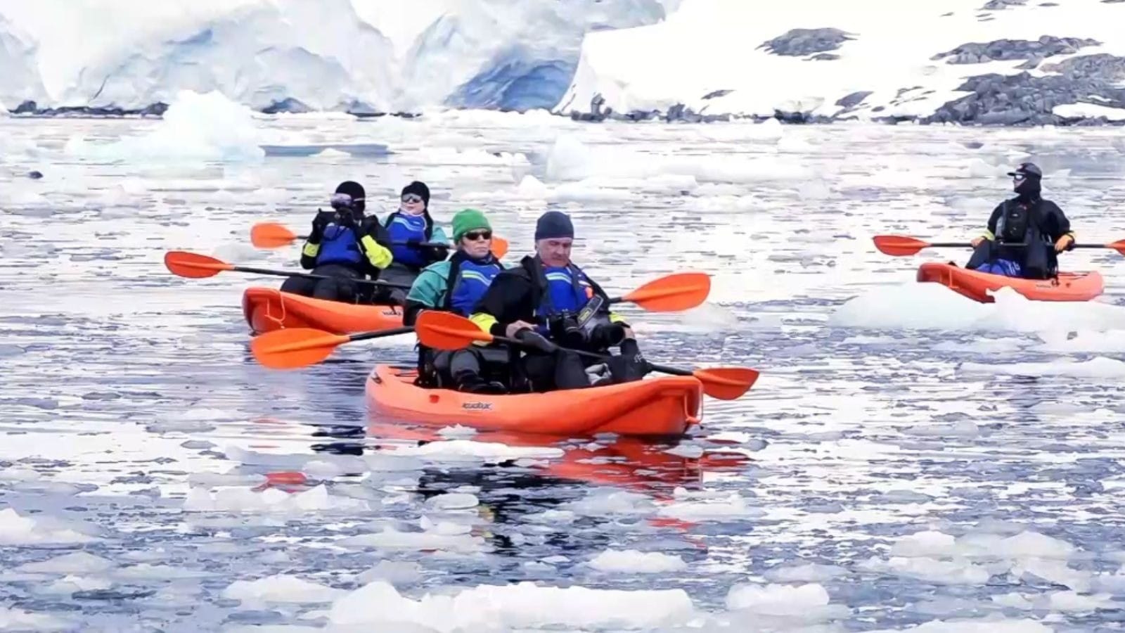 Antártica: um dos lugares mais misteriosos do planeta e repleto de vida