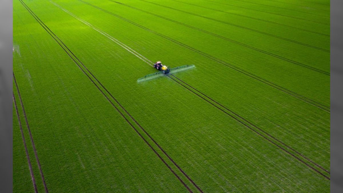 Lucro da BrasilAgro recua 74%, para R$ 61,3 milhões