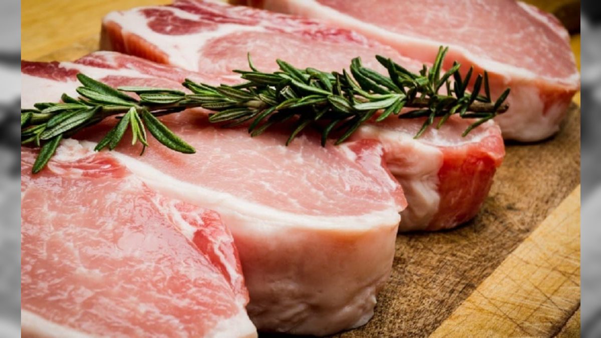 Exportações de carne suína têm o segundo maior volume mensal da história do setor em junho
