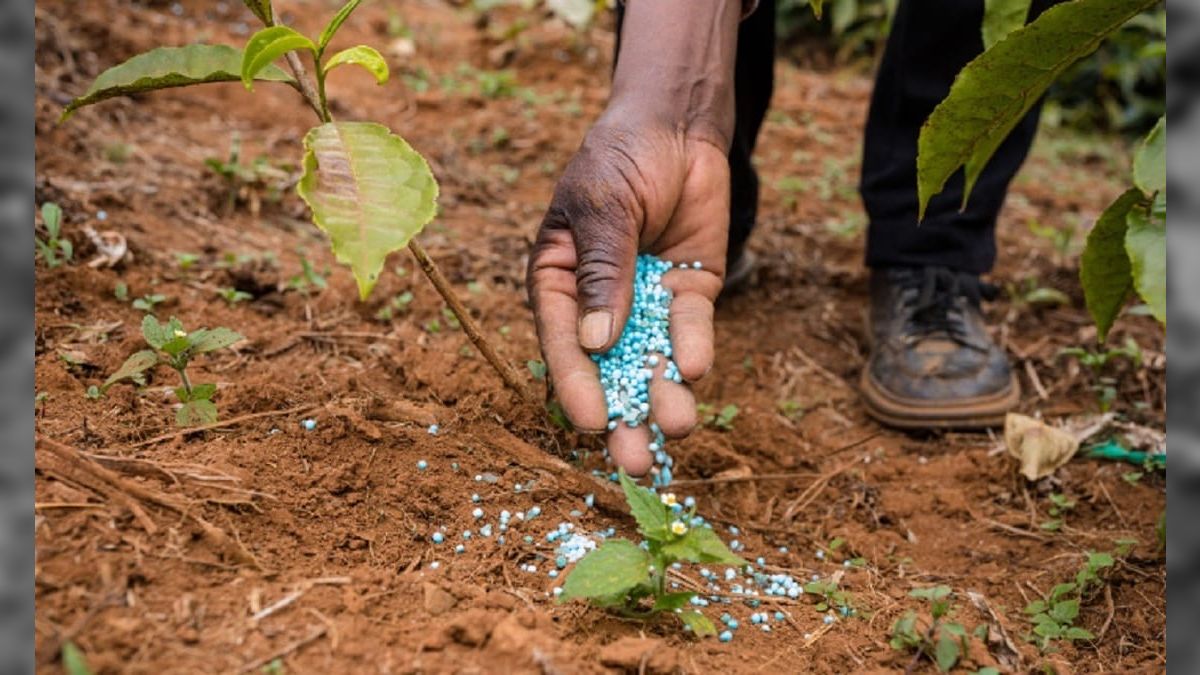 China restringe exportações de fertilizantes e ureia sobe 35% em 15 dias