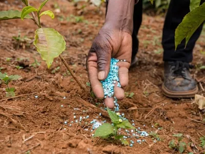 Setor de fertilizantes aciona Itamaraty para evitar escassez na safra