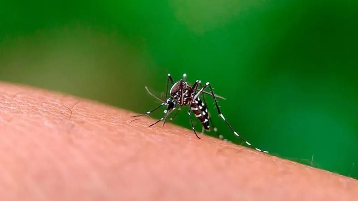 Com três mortes e 1,2 mil casos de dengue, Sumaré decreta estado de emergência