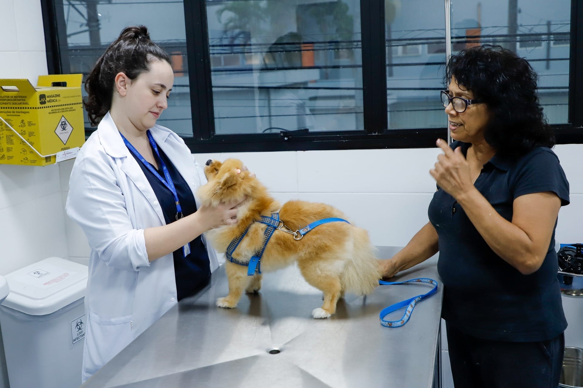 Hospital veterinário atende pets de moradores de São Caetano devidamente registrados (Foto: Prefeitura de São Caetano do Sul)