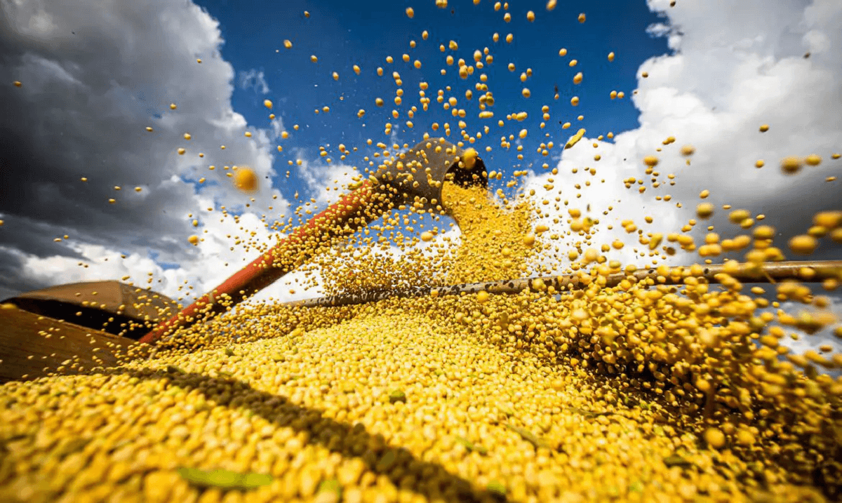 Estimativa para produção agrícola cai pela segunda vez consecutiva