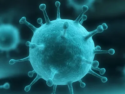 Estados prorrogam vacinação contra gripe após baixa adesão da população