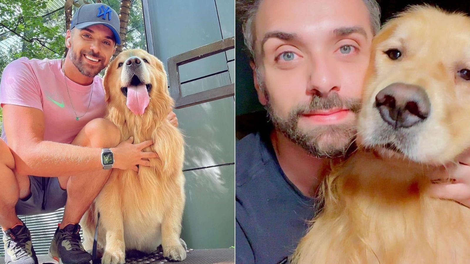 Cão Joca morreu em voo da Gol por choque cardiogênico, diz laudo da USP