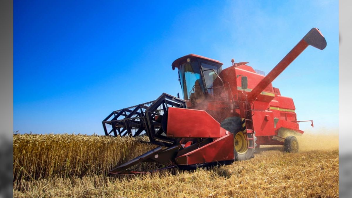 Petróleo e agricultura brasileira impulsionam economia da Guiana