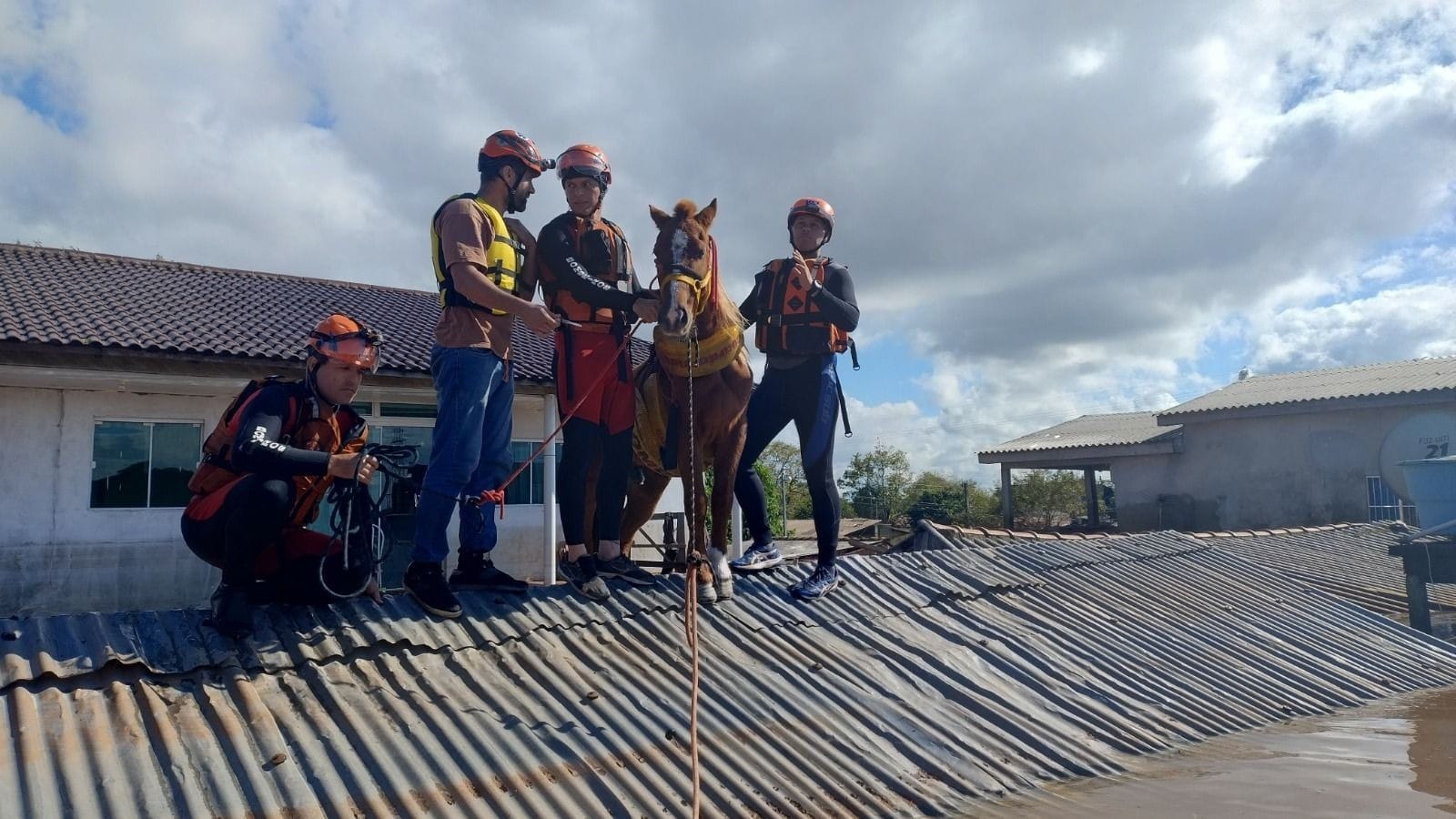 "Muitos animais ficaram para trás", diz bombeiro que resgatou cavalo 'Caramelo'