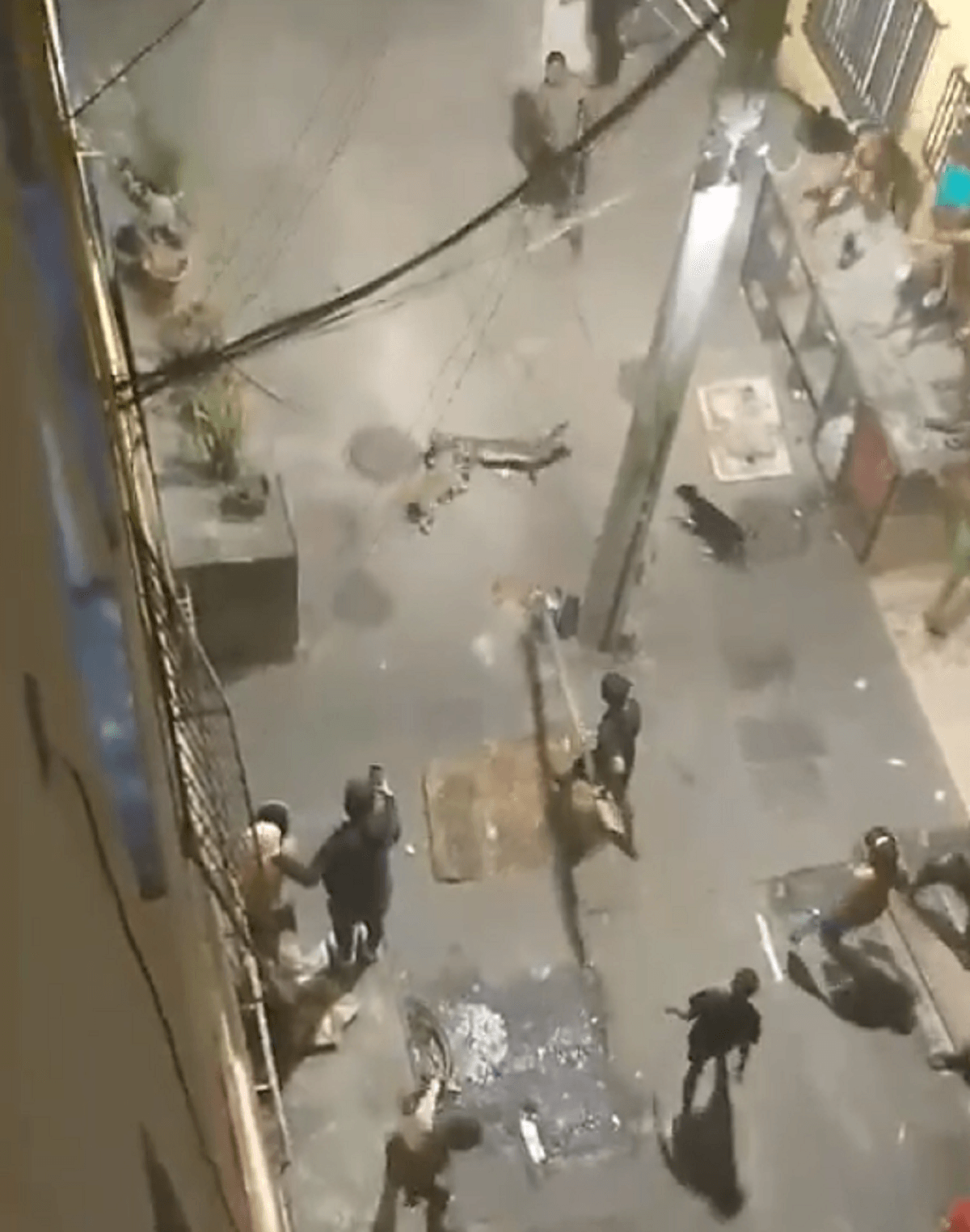 Jacaré é flagrado por moradores na comunidade da Cidade de Deus, na Zona Oeste