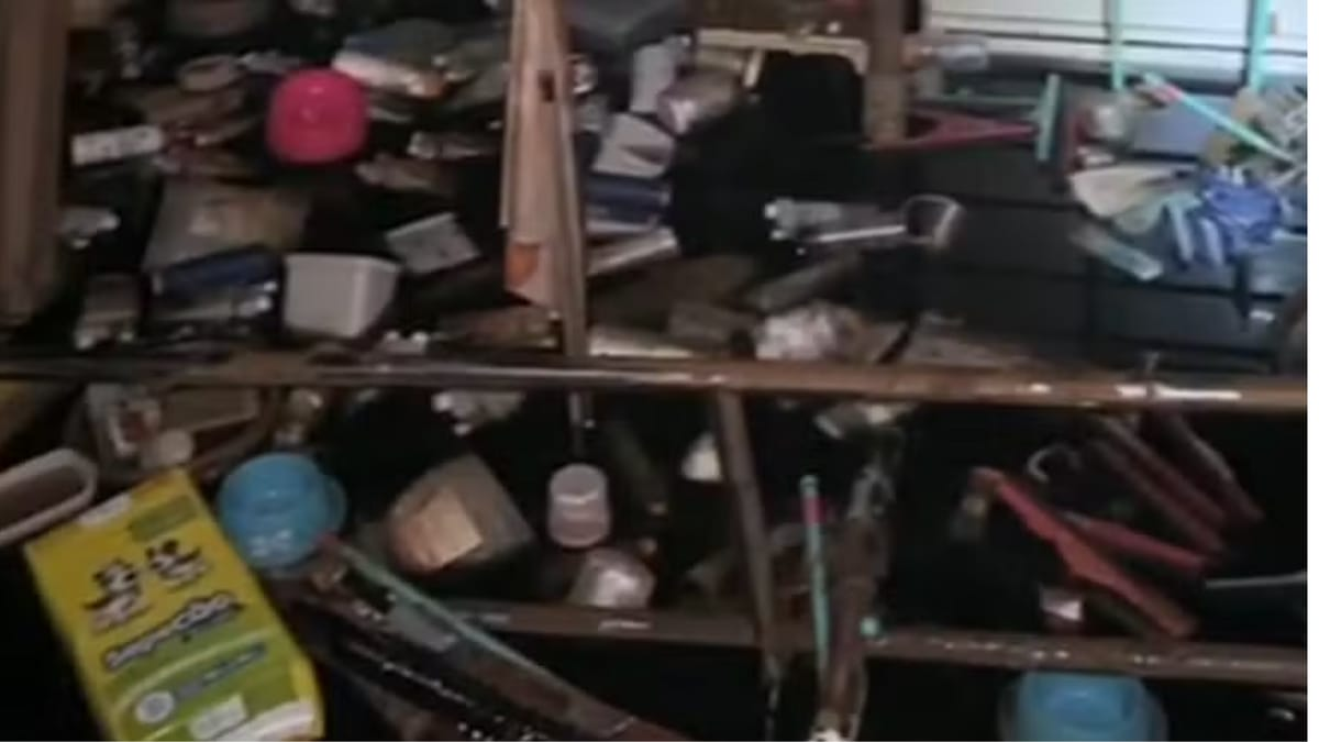 Pet shop salvou eletrônicos e deixou animais morrerem em enchente no RS
