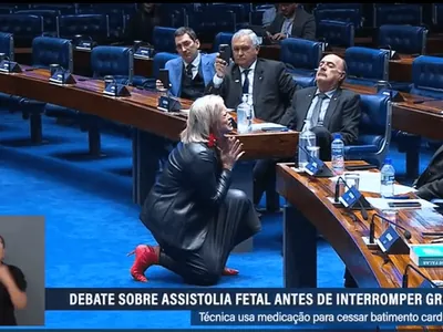 Mulher reproduz "falas" de feto em audiência no Senado