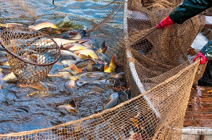 Pescadores da Barra denunciam grupo de 'pesca de arrasto' considerada ilegal