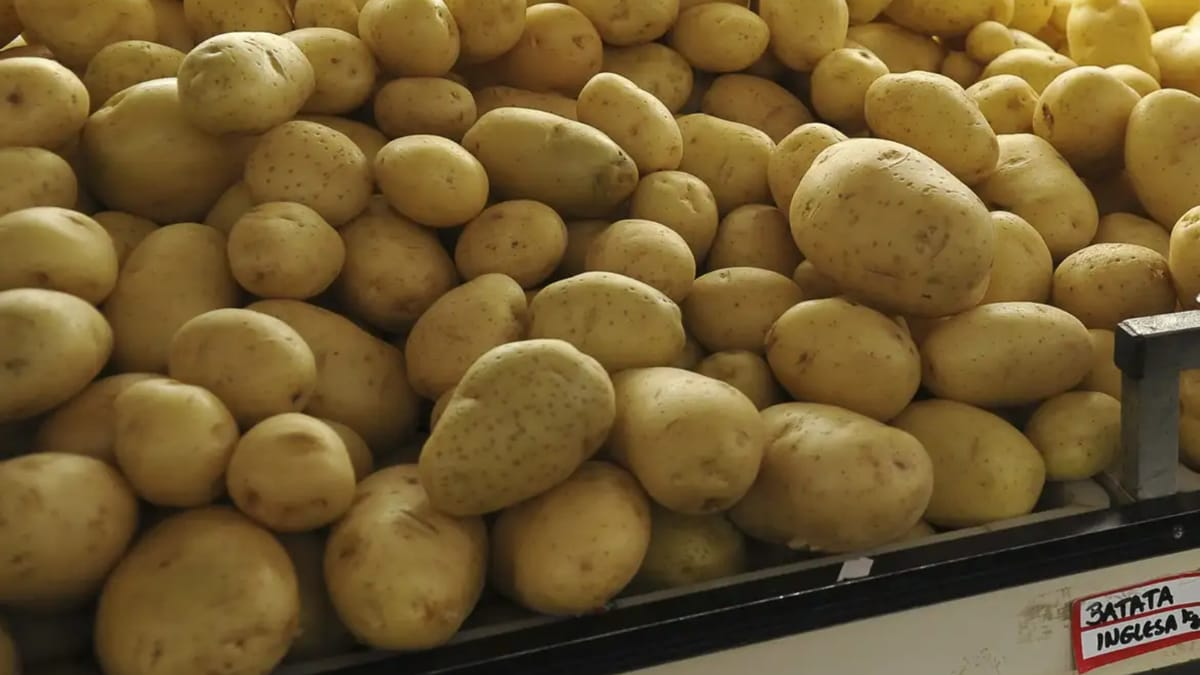 Preço da batata sobe no atacado após chuvas limitarem a oferta no Brasil