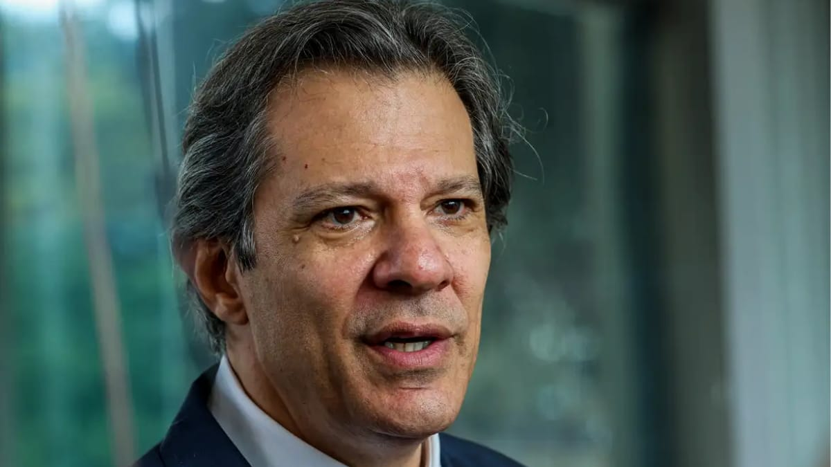 Justiça derruba posts que associam Haddad a atentado contra Luciano Hang - QTU Questões do Universo
