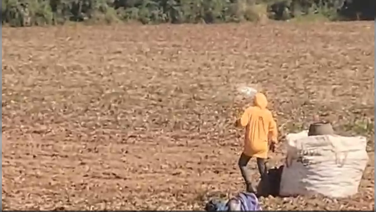Fazendas de pecuária e cultivo de café lideram ‘nova’ lista suja do trabalho