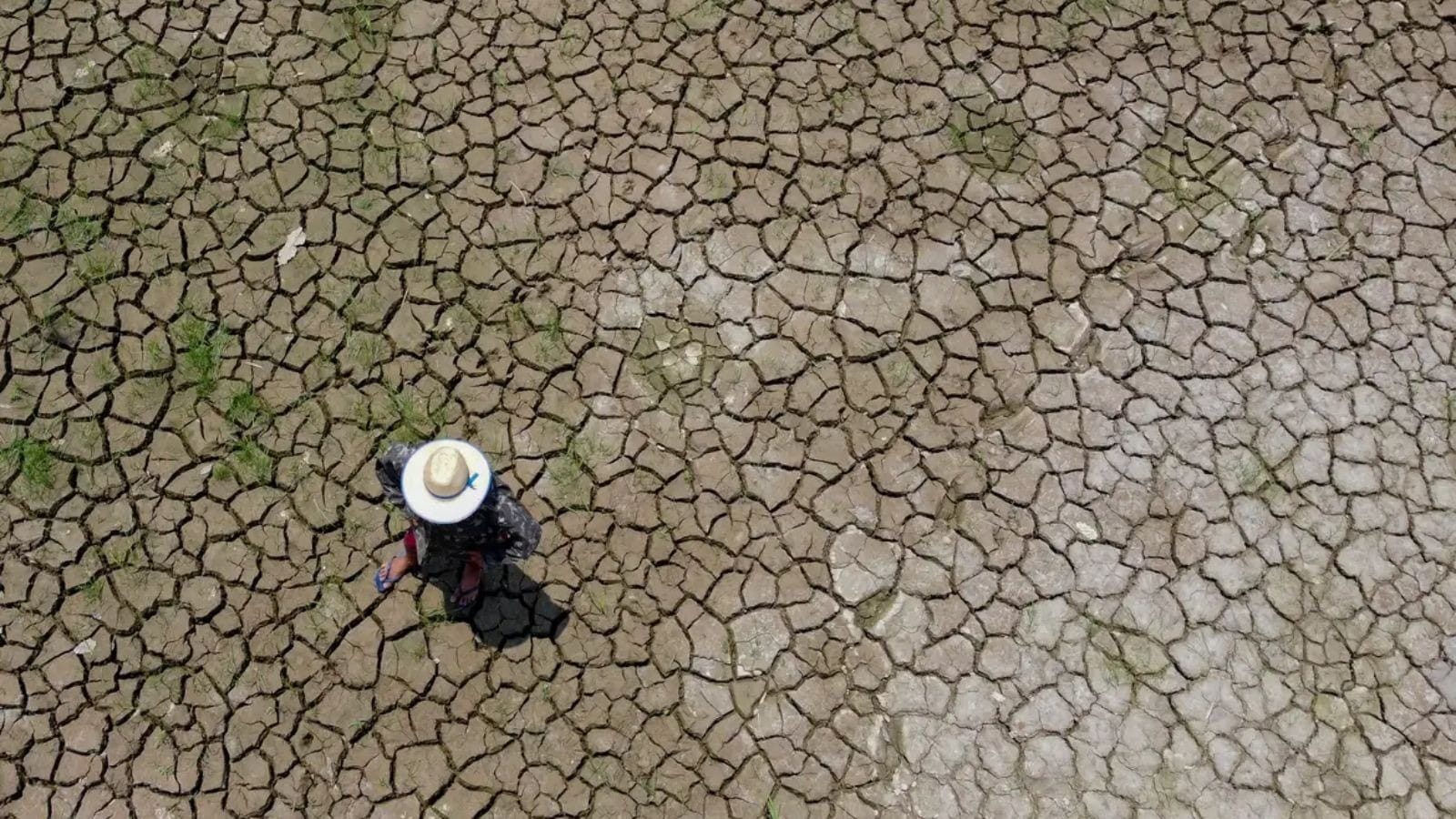 Desenrola Rural pode beneficiar mais de 360 mil agricultores nordestinos