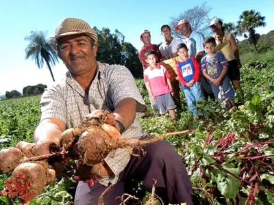 Entenda a diferença entre Plano Safra empresarial e Agricultura familiar