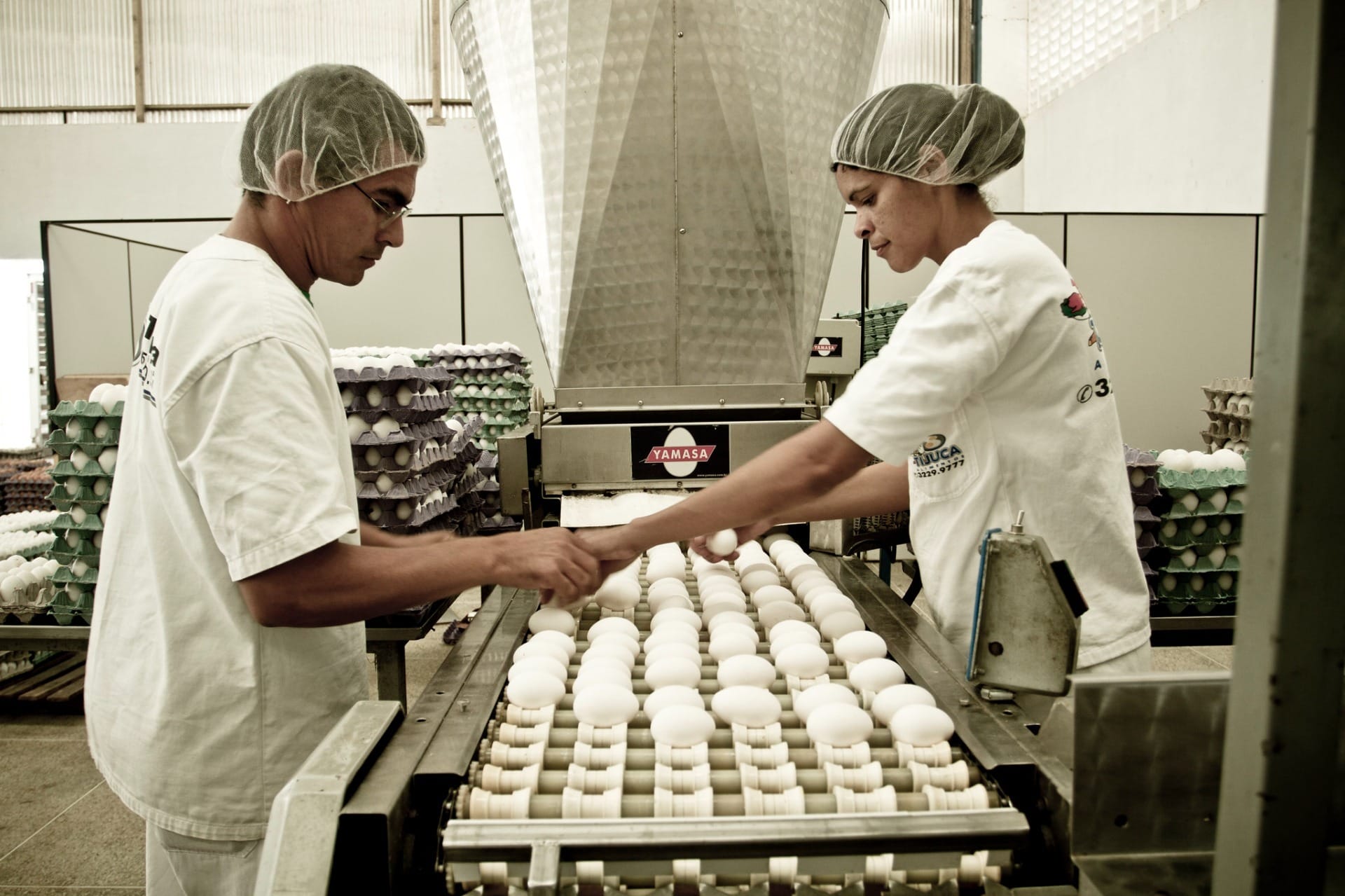 Consumo cai e produtores de ovos ajustam oferta para frear queda nos preços