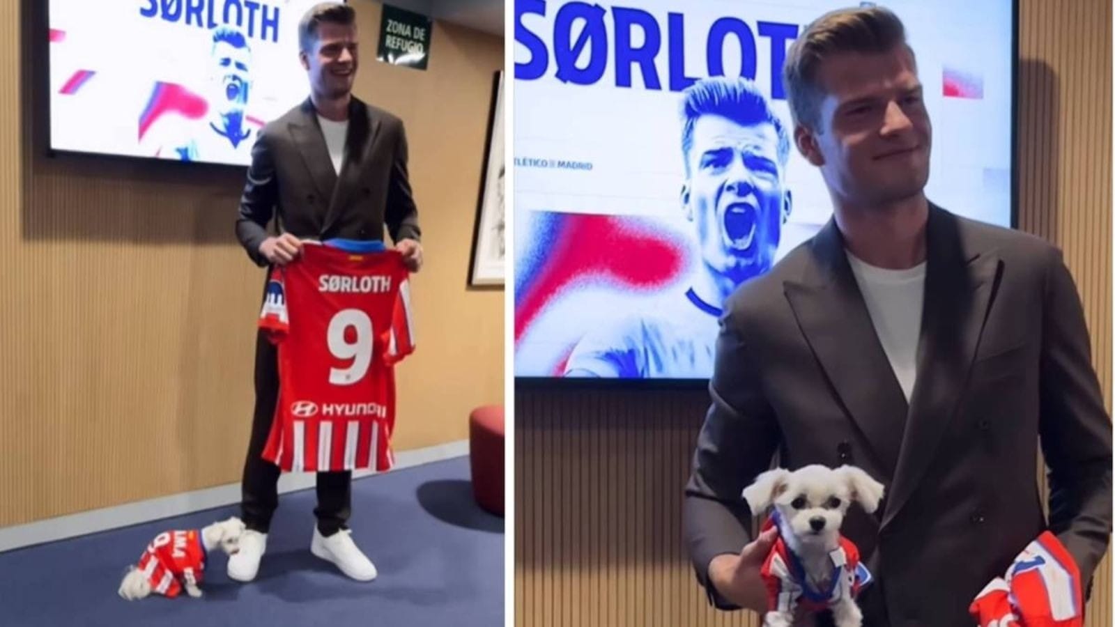 Sorloth é apresentado pelo Atlético de Madrid e cachorra rouba a cena; assista