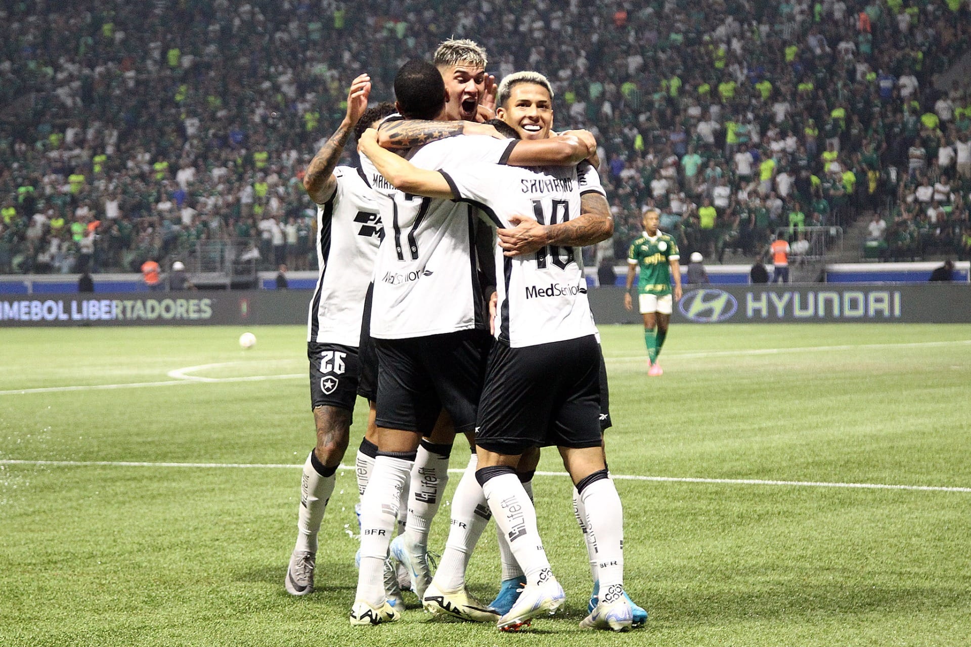 Palmeiras busca empate em final emocionante, mas Botafogo avança na Libertadores