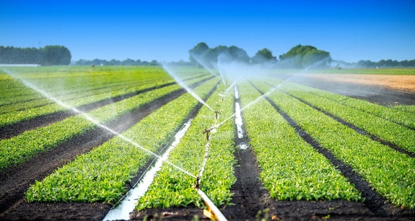 Inteligência Artificial ajuda a economizar água na irrigação