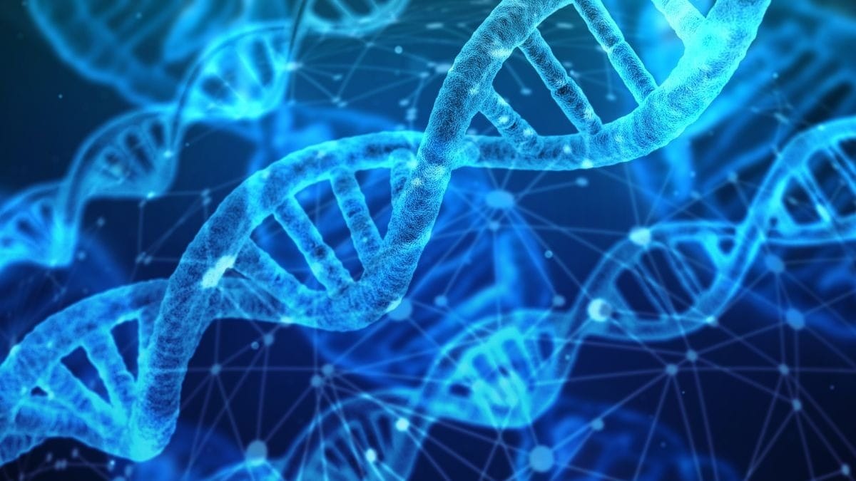 Justiça cria campanha de coleta de DNA para encontrar pessoas desaparecidas no Brasil